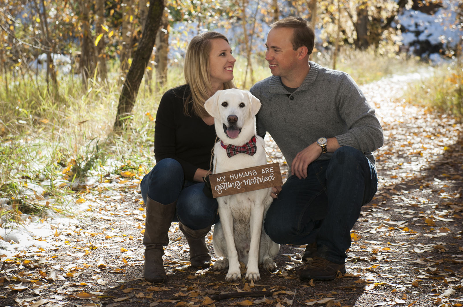 Engaged couple kneeling with dog at Lair of the Bear, Colorado