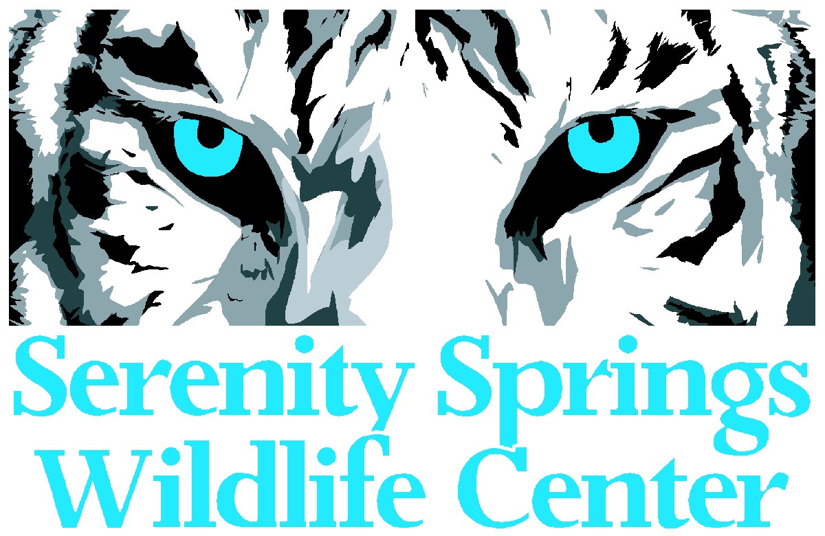 Serenity Springs Serenity Springs