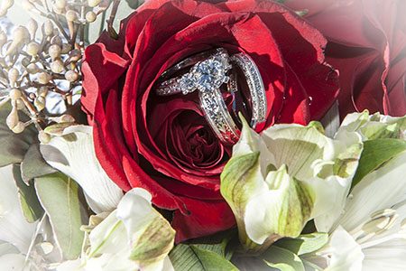 Wedding rings in a red rose Wedding rings in a red rose takin just outside of Nashville