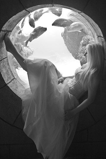 Peace Bride sitting in round cubby hole by a fish tank at the Atlantis Hotel in the Bahamas