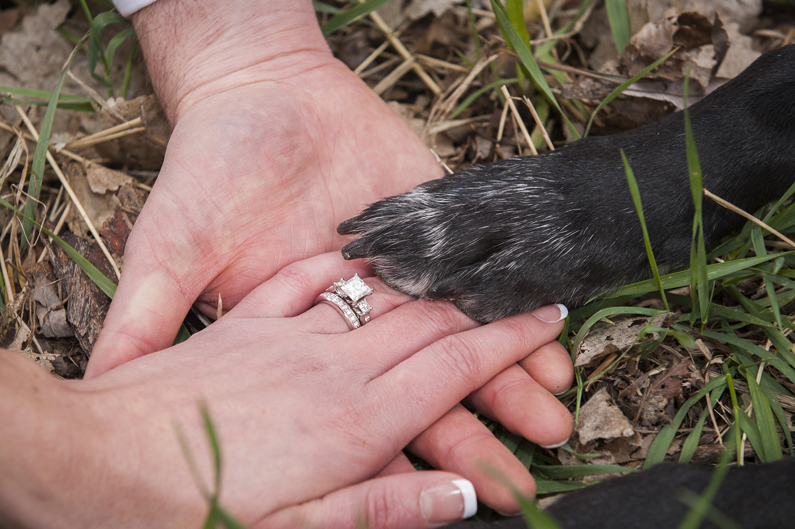 close up of man and woman's hand showing the engagement ring topped off by their dog's paw on top.